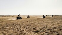 Agafay Desert : Dinner Show with Quad Bike & Camels