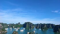 Luxury Day Cruise with Buffet & Limousine Transfer in Halong Bay