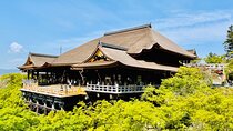 Explore History and Culture in Kyoto