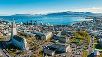 Reykjavik Highlights Private tour with a local