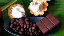 Discover Mauritian cocoa!