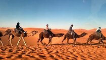 3 Days Desert Tour from Fez to Marrakech
