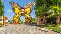 Dubai Butterfly Garden Colorful Wonderland of 15000 Butterflies