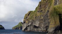 Private Vestmannaeyjar Tour from Reykjavik