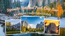 Private Customized Day Tour from San Francisco to Yosemite