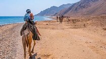 Blue Hole Canyon, ATV Quad, Camel Ride & Lunch - Sharm El Sheikh