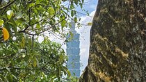 Taipei Cultural and Artistic Landmarks Guided Tour