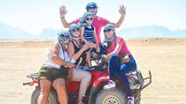Super Safari ATV and Sunset Camel Ride With Dinner in Marsa Alam