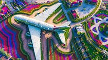 Dubai Miracle Garden Tickets