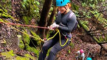 Canyoning with Guide in Tenerife: Anaga