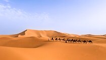 3 Day Sahara Desert Trip with Camel Ride from Marrakech