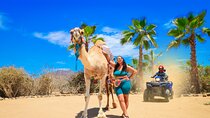 Los Cabos Camel Riding and ATV with Tequila Tasting