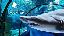 Antalya Aquarium & Fun Park Tour–All-Inclusive with Hotel Pickup
