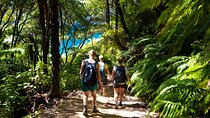 Picton Shore Excursion Kaipupu Sanctuary Water Taxi