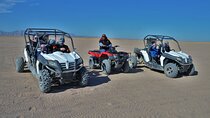 Join Sindbad Safari Buggy, ATV & Camel with Breakfast :Marsa Alam