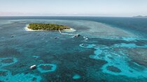 Explore Green Island with Diving options from Cairns
