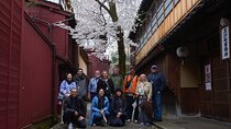 Walking Tour in the Geiko Districts