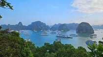 Halong Luxury Cruise Full Day Tour from Hanoi: All Inclusive