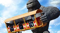 Istanbul Vialand Theme Park Unlimited Access with Transfers
