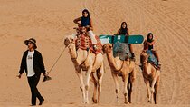 Agadir Desert exploration by Camels and a Tea picnic in The Dunes