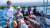 Kona Coast Boat Snorkel