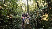Ubud Country Side Jungle Trekking