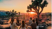 Soul Reconnection Retreat in Joshua Tree