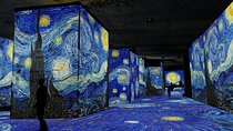 Private Tour from Marseille: Les Baux, Van Gogh & Saint-Rémy