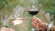 Winery Tour in Mendoza Casa Vigil and Vistandes and 1870 Essence