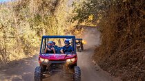 Off Road RZR Jungle Adventure