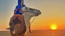 Marrakech:Agafay desert Camel Rides with Dinner Show & sunset 