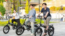 Tokyo: Private E-Bike Tour of the Imperial Palace Area