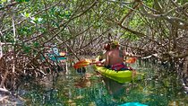 Key West Clear Kayak Eco Tour
