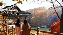 Cheorwon DMZ: The Second Tunnel & Goseokjeong Pavilion