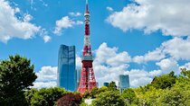 Tokyo Private 1-Day Tour by Car with Local Guide