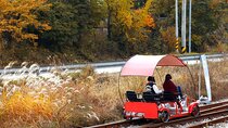 Nami Island, Rail bike & The Alpaca Garden