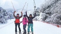 Elysian Ski Resort and Eobi Ice Valley Day Tour from Seoul