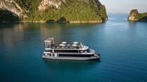 Ha Long Bay Discovery: Iris Luxury Day Cruise