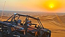 Dubai Morning Safari Adventure 