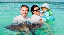 3-Hours Eye-Opening Stingray City Antigua - Transfer R/T included