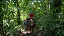 Ride to the Arenal River