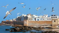 Day Trip to Essaouira from Marrakech