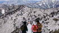 Seoraksan, Eobi Ice Valley & Nami Island Winter Tour from Seoul