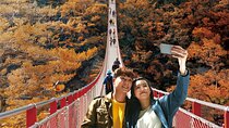 DMZ Tour from Seoul:3rd Tunnel,North Korea View,Suspension Bridge