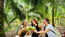 Mekong Delta Full Day River and Culture Food Tour