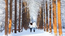 Half Day Tour to Eobi Ice Valley and Nami Island