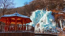 Eobi Ice Valley, Nami Island and Petite France tour in Seoul