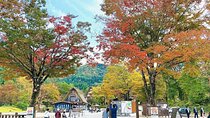 Shirakawa Ono Gifu Bus Tour Experience