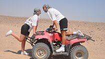 Sharm El Sheikh Safari 5 in 1 Adventure