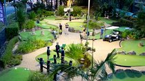18 Hole Mini Golf Experience in Gordon